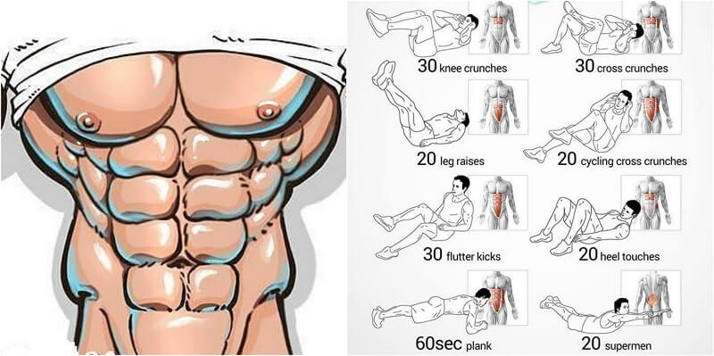 Abs Workout: How To Get The Ultimate 6 Pack – GymGuider.com