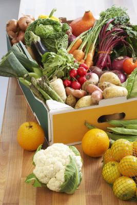 The Effects of Fiber on Metabolic Rate